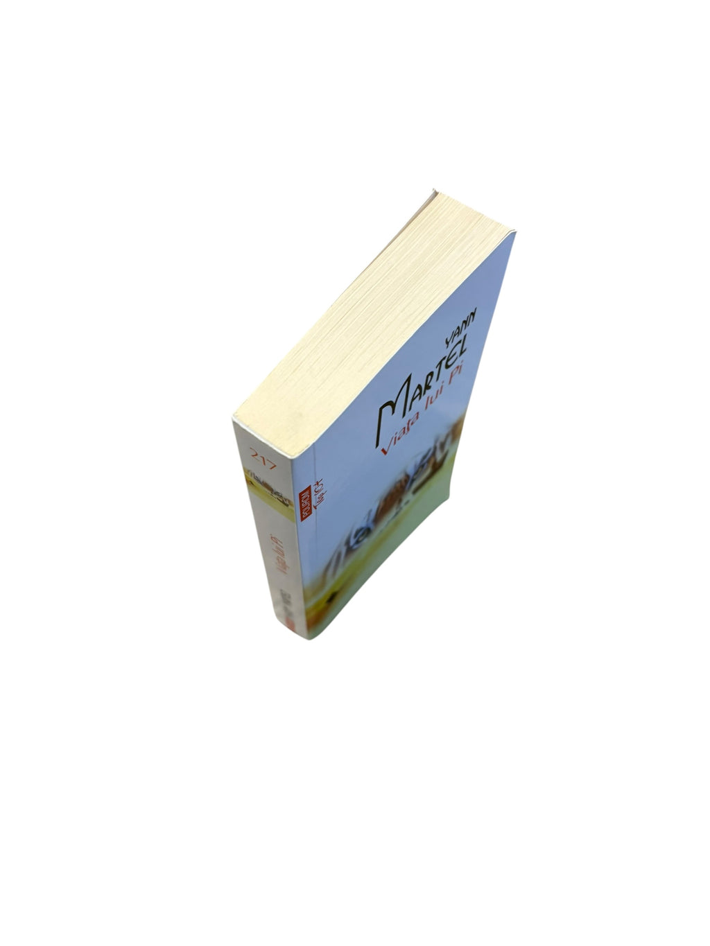 Viata lui Pi - Yann Martel