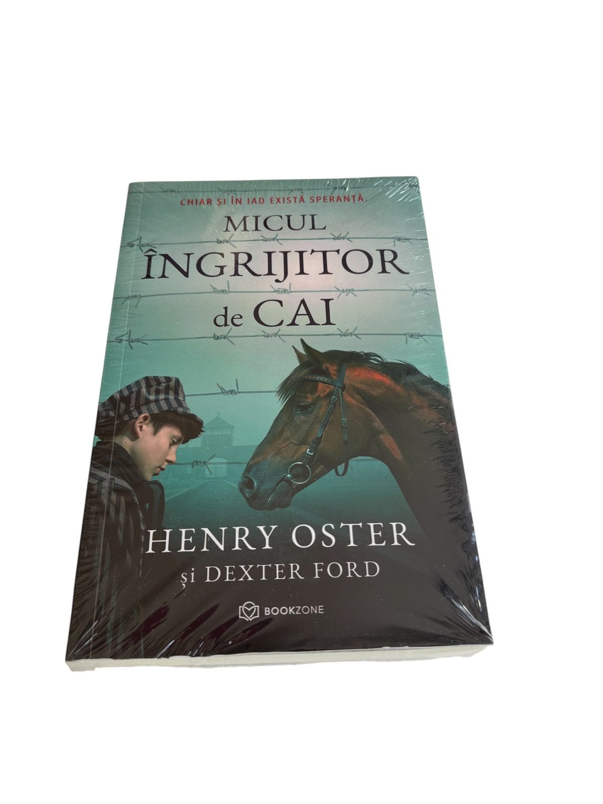 Micul ingrijitor de cai - Dexter Ford, Henry Oster