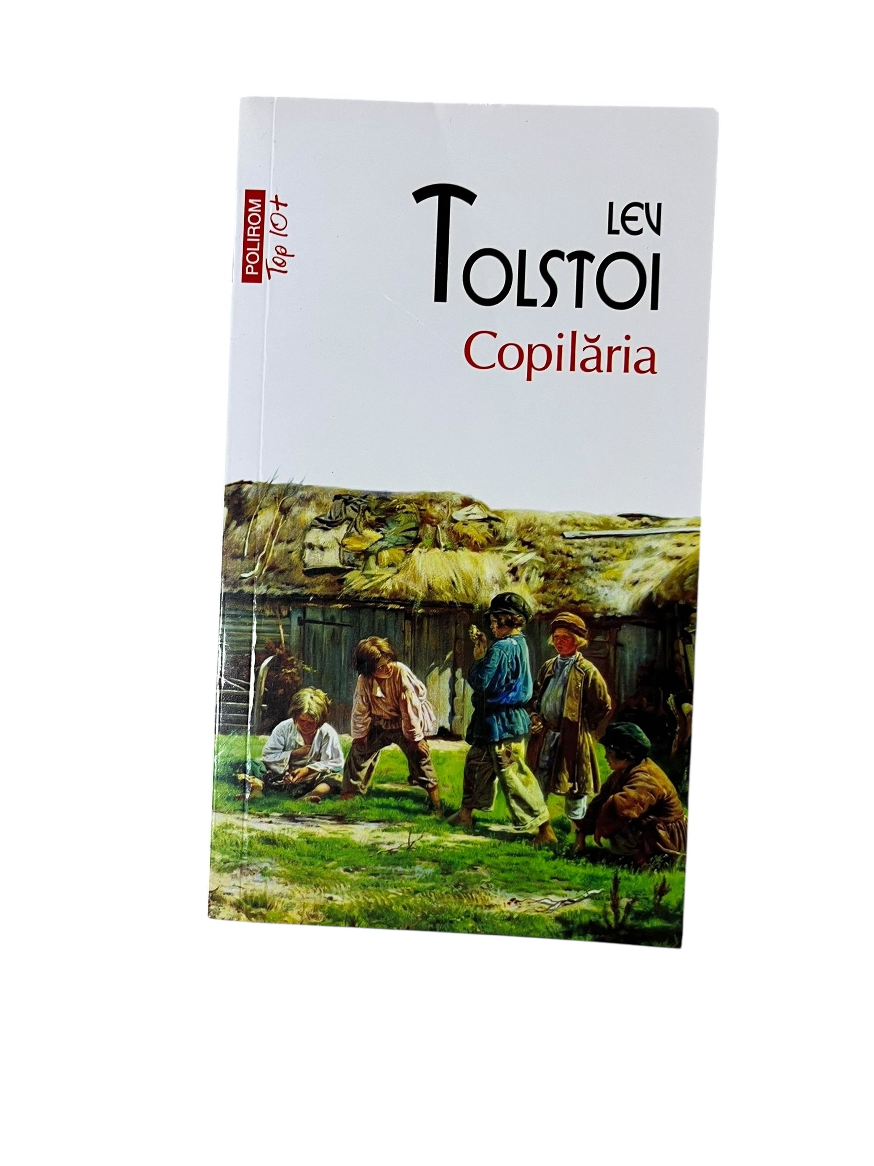 Copilăria