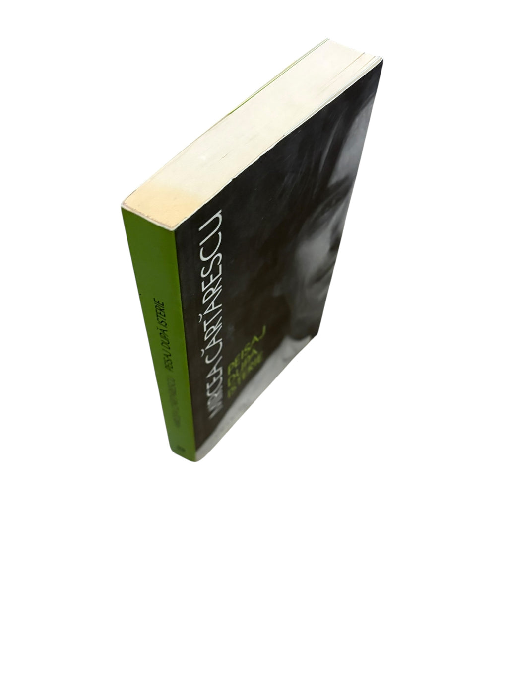 Peisaj după isterie