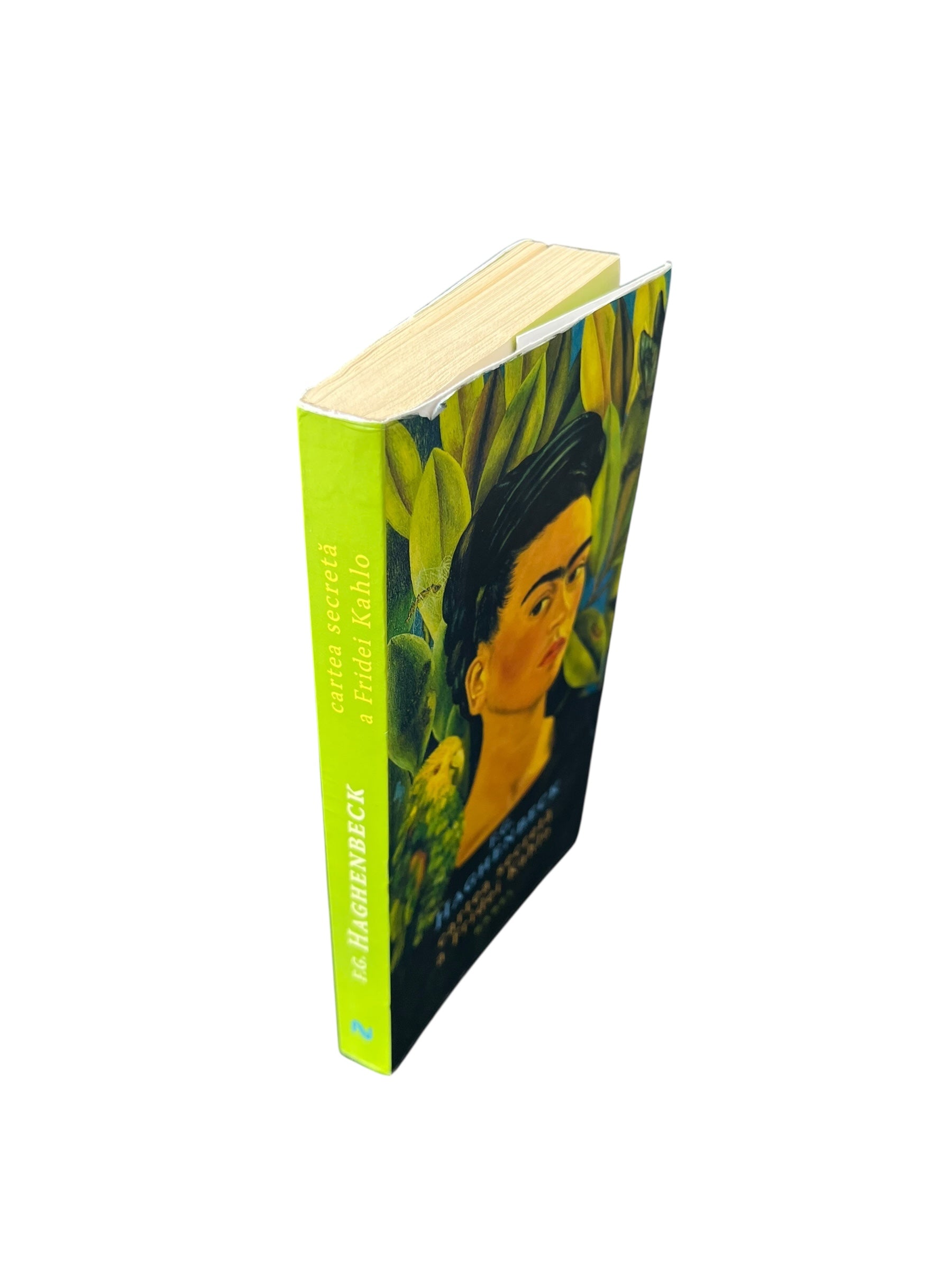 Cartea secretă a Fridei Kahlo