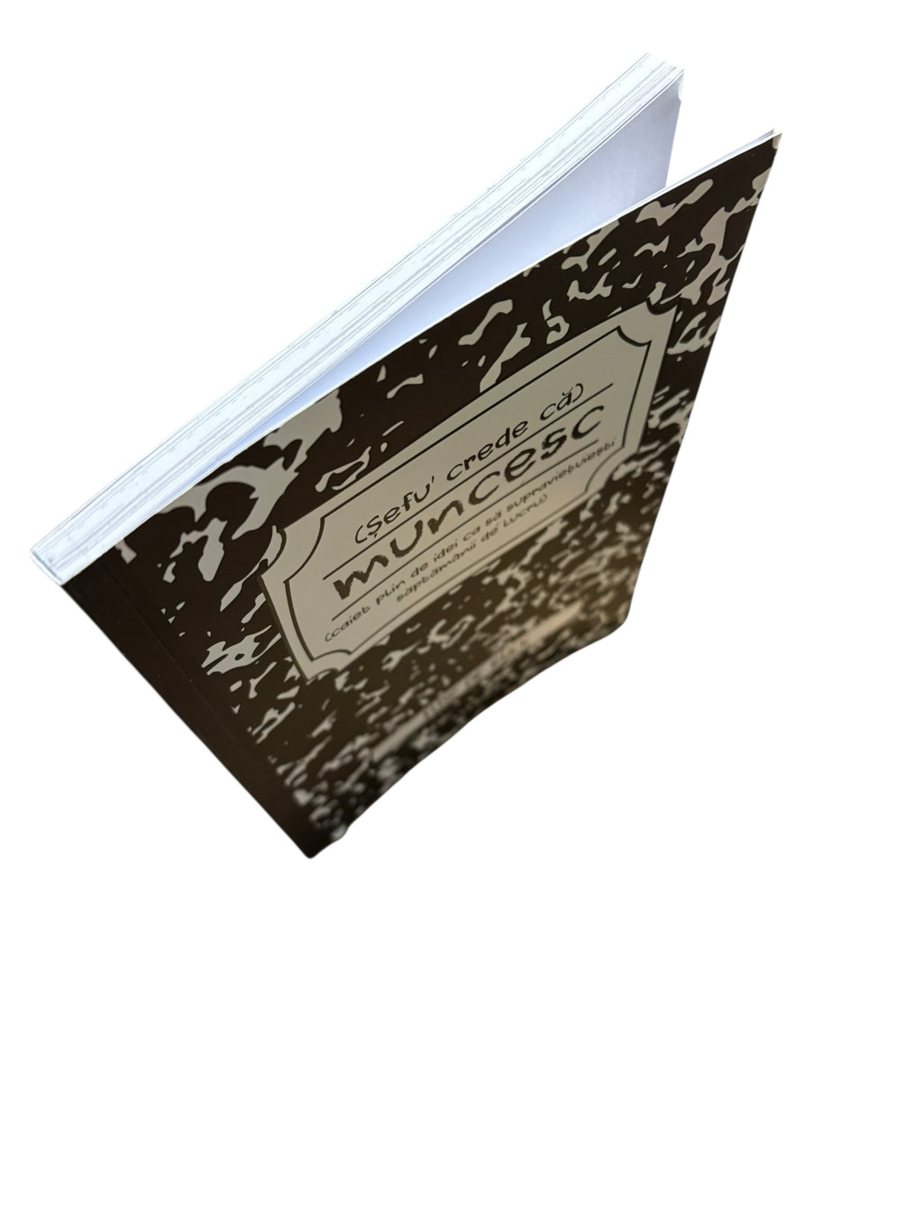 Șefu' crede că muncesc - caiet plin de idei ca să supraviețuiești săptămânii de lucru