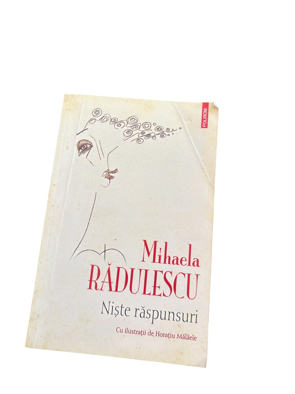 Niște răspunsuri - Mihaela Rădulescu