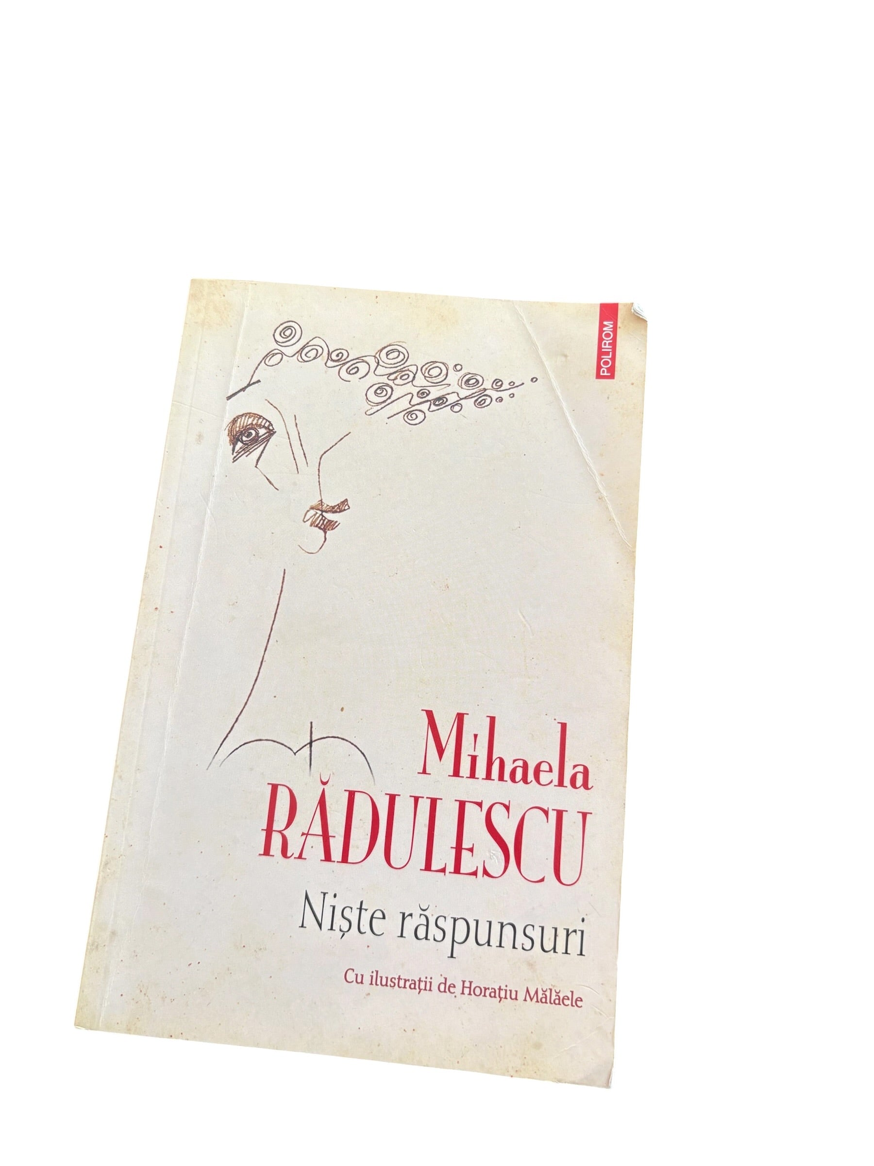 Niște răspunsuri - Mihaela Rădulescu