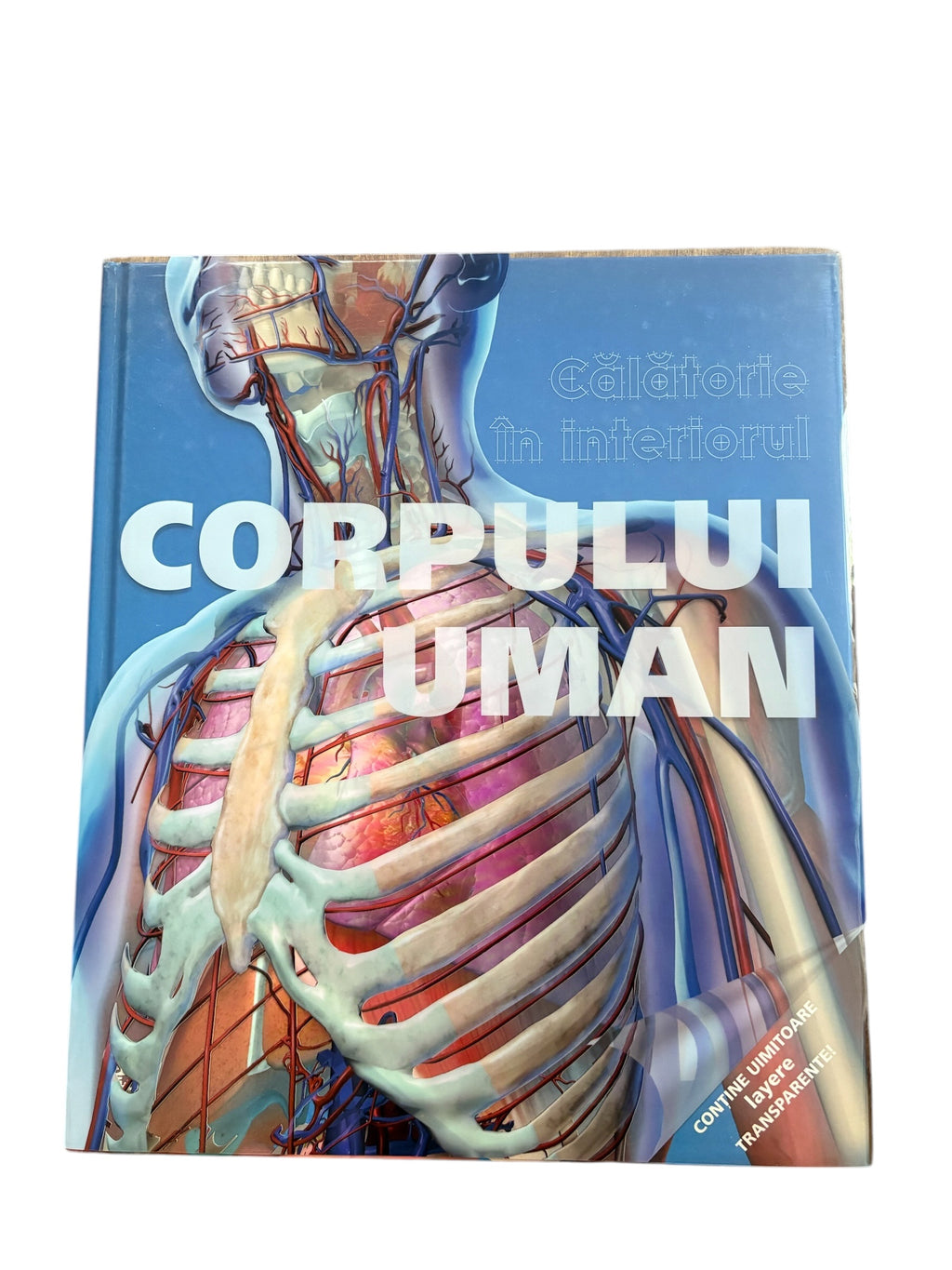 Călătorie în interiorul corpului uman