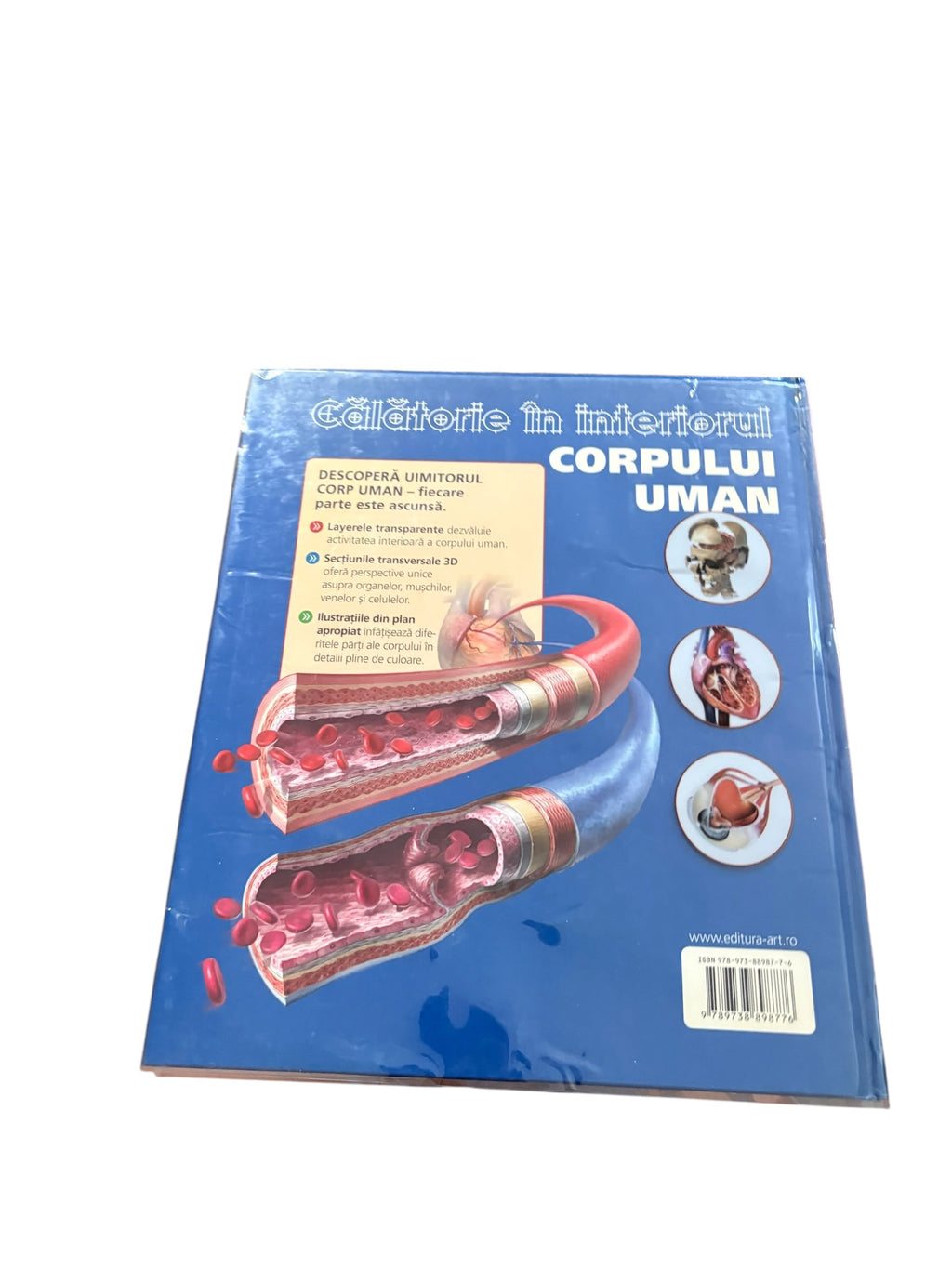Călătorie în interiorul corpului uman