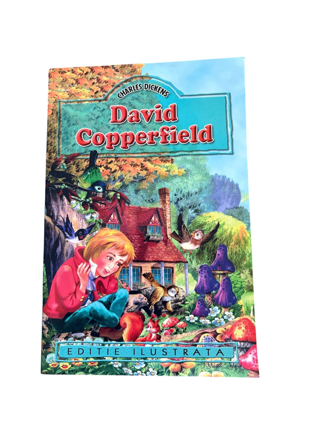 David Copperfield - Charles Dickens