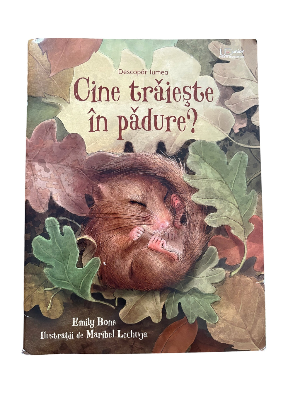 Descopar lumea - Cine traieste in padure?