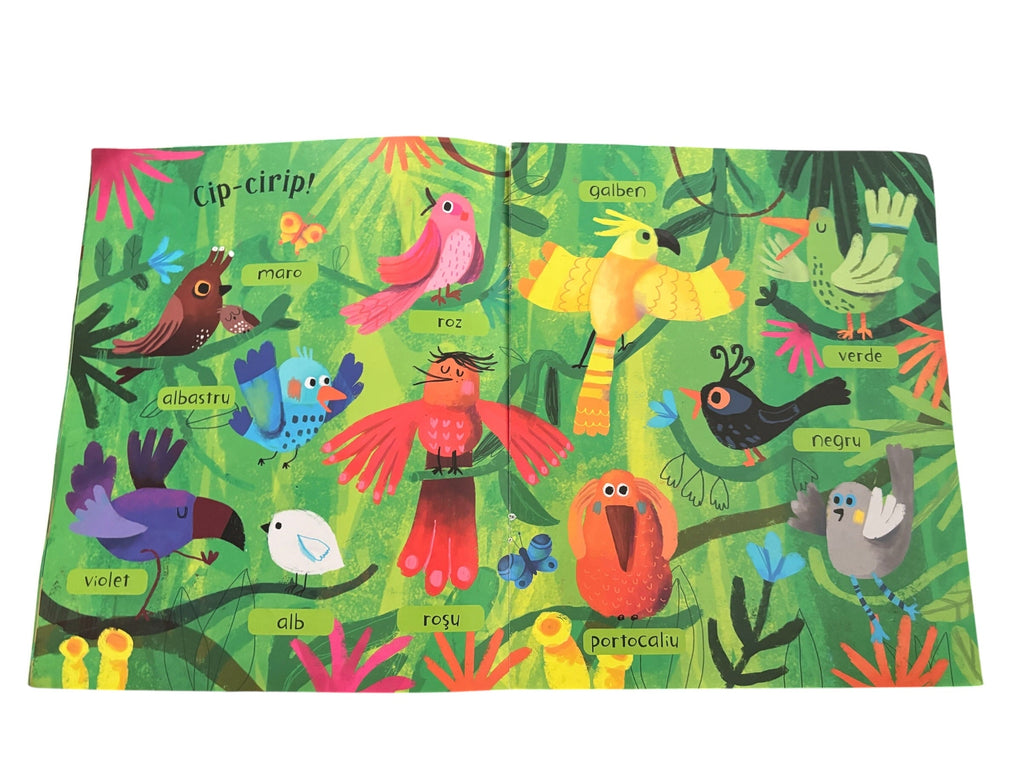 Primele mele 100 de cuvinte (Usborne)