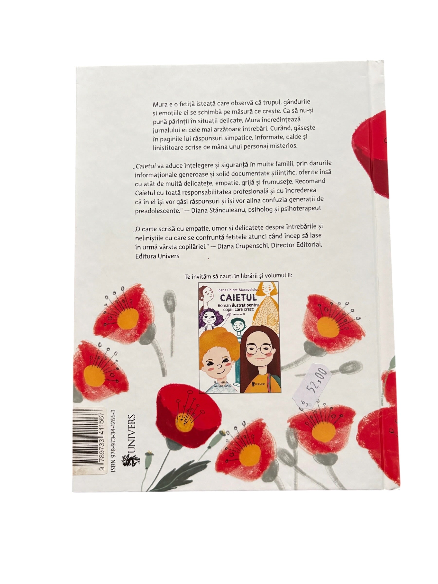 Caietul, roman mic pentru fetitele care cresc mari - Ioana Chicet-Macoveiciuc