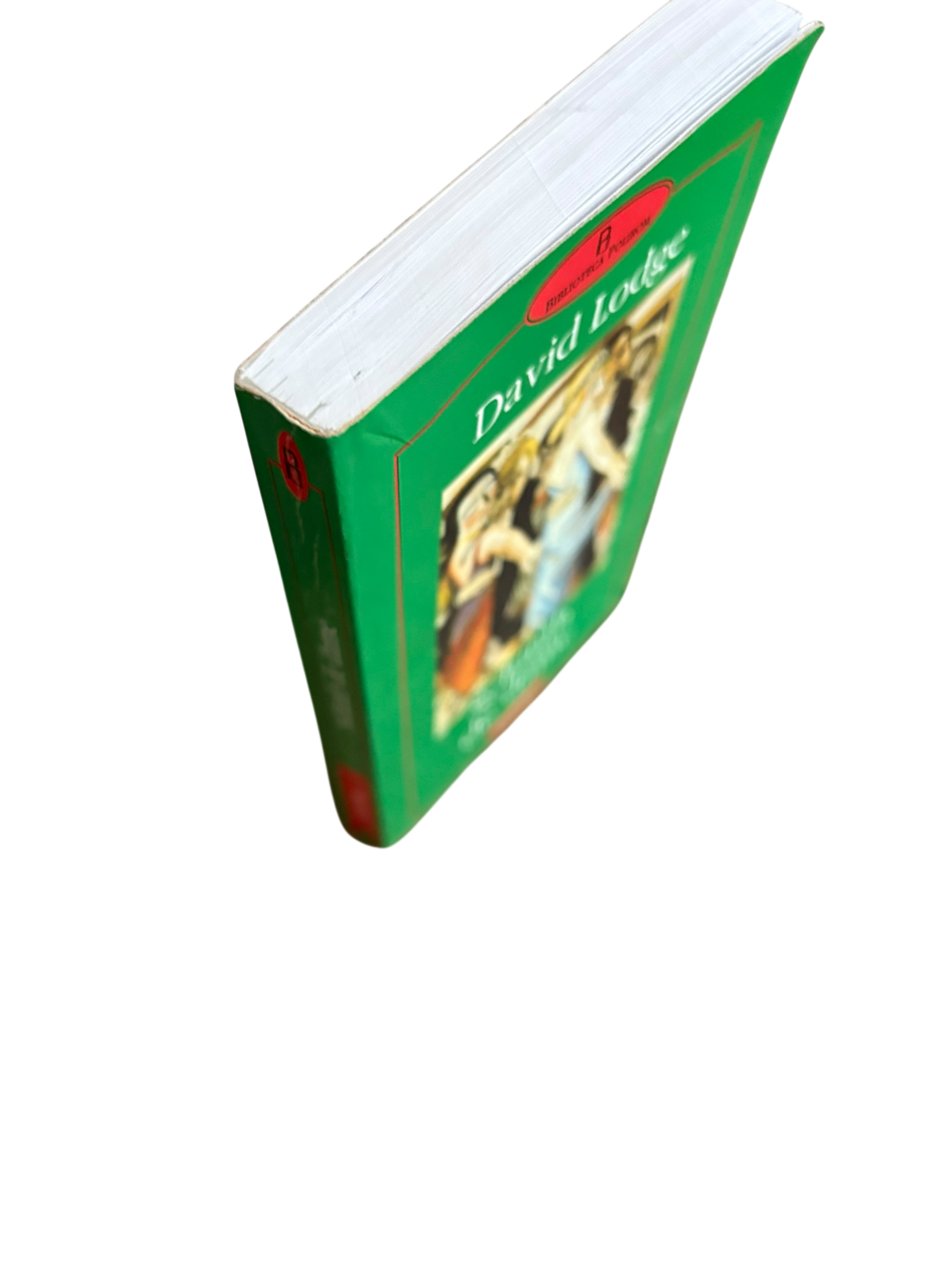 Schimb de dame - David Lodge