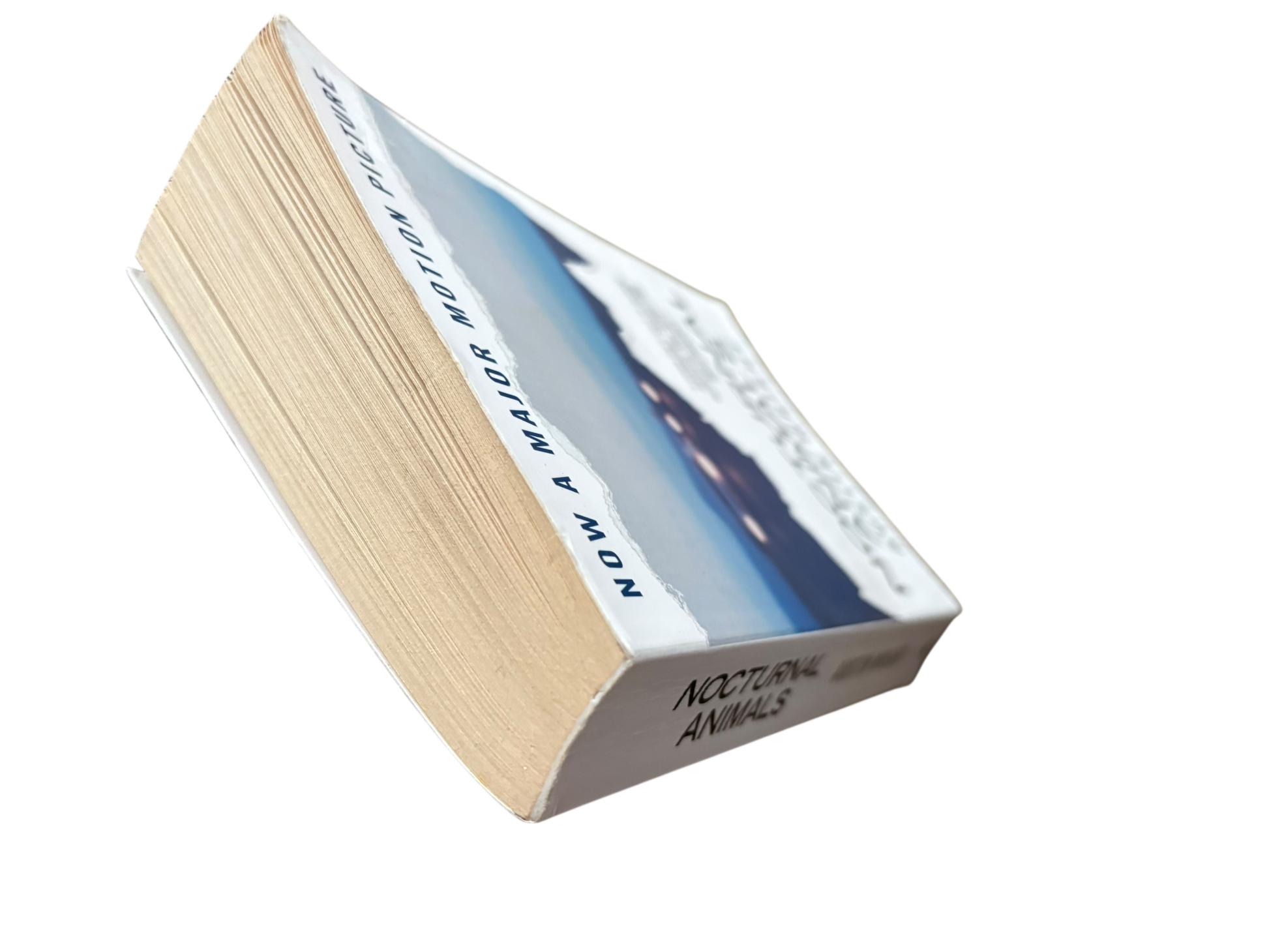 Nocturnal Animals - Austin Wright