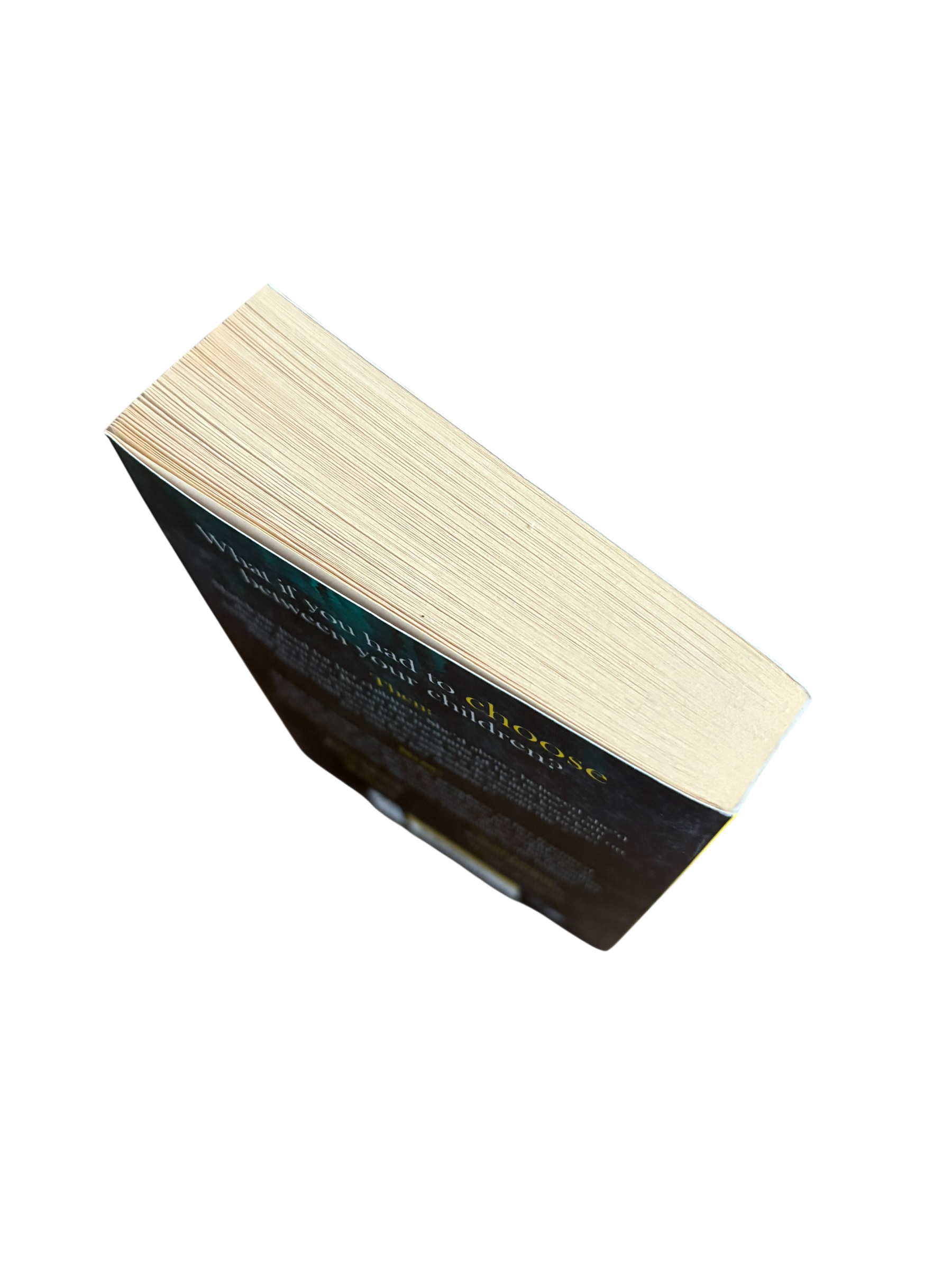 The Choice - Samantha King