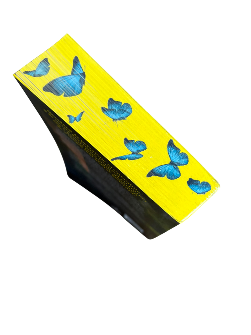 Camera cu fluturi - Lucinda Riley