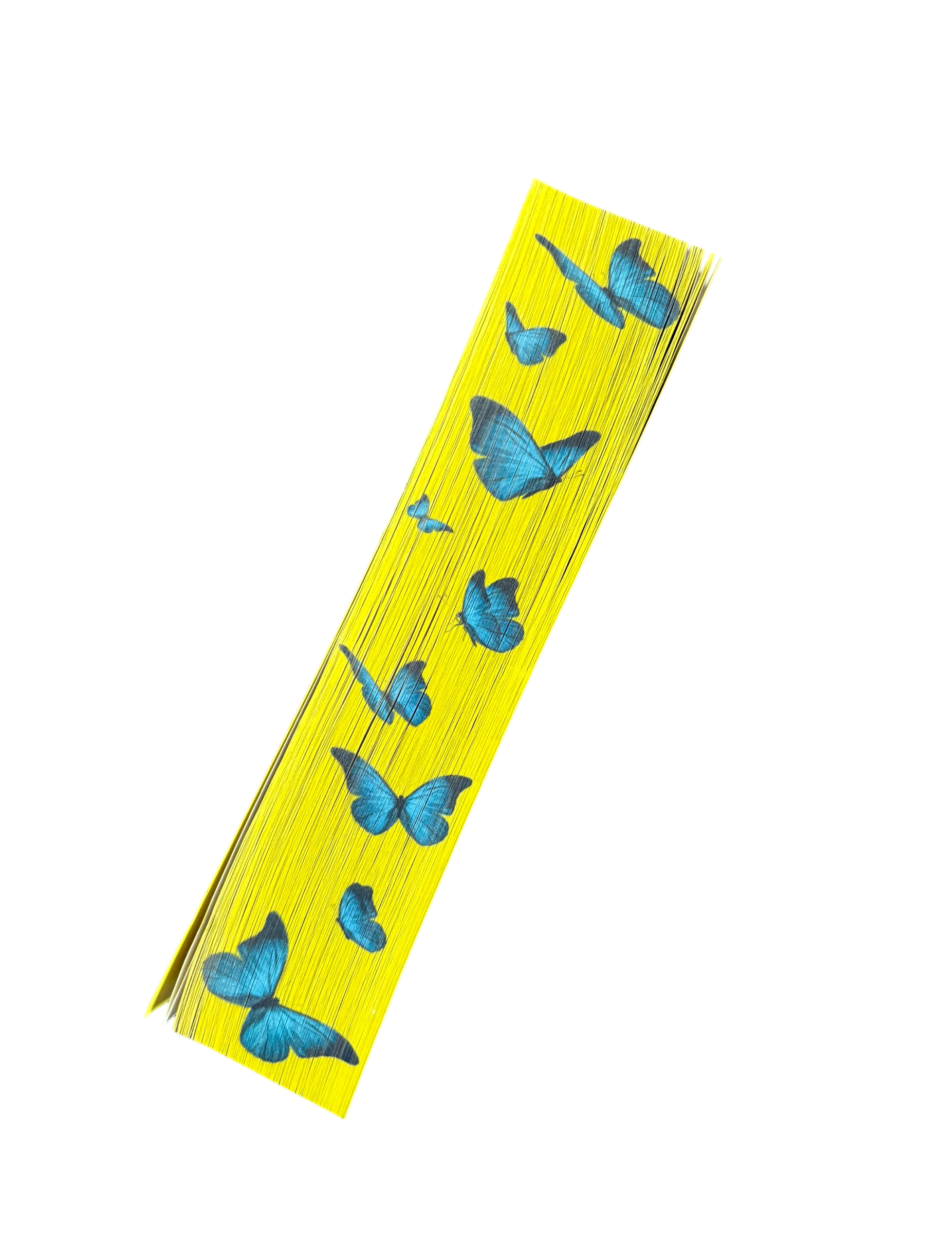 Camera cu fluturi - Lucinda Riley