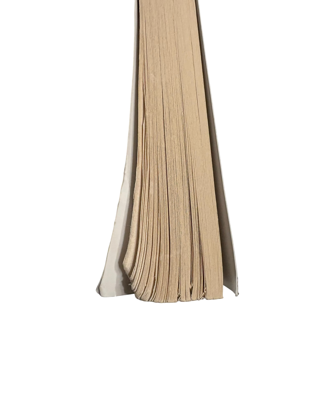 Nazistii imi spuneau pe nume - Magda Hellinger