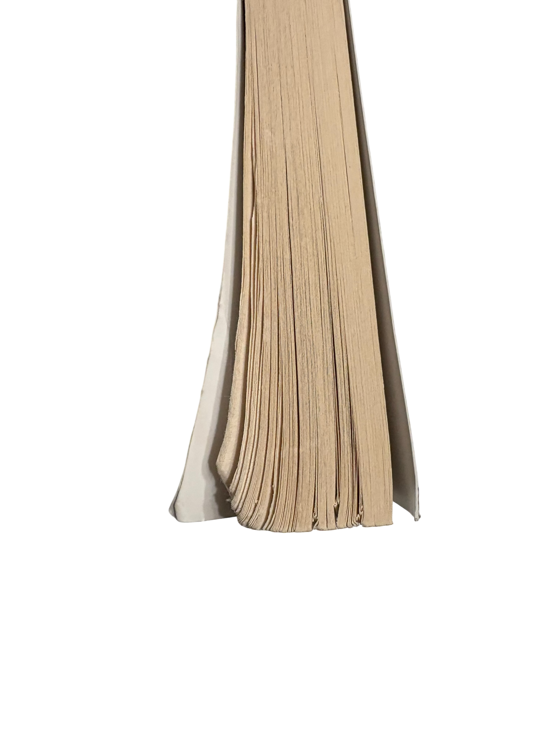 Nazistii imi spuneau pe nume - Magda Hellinger