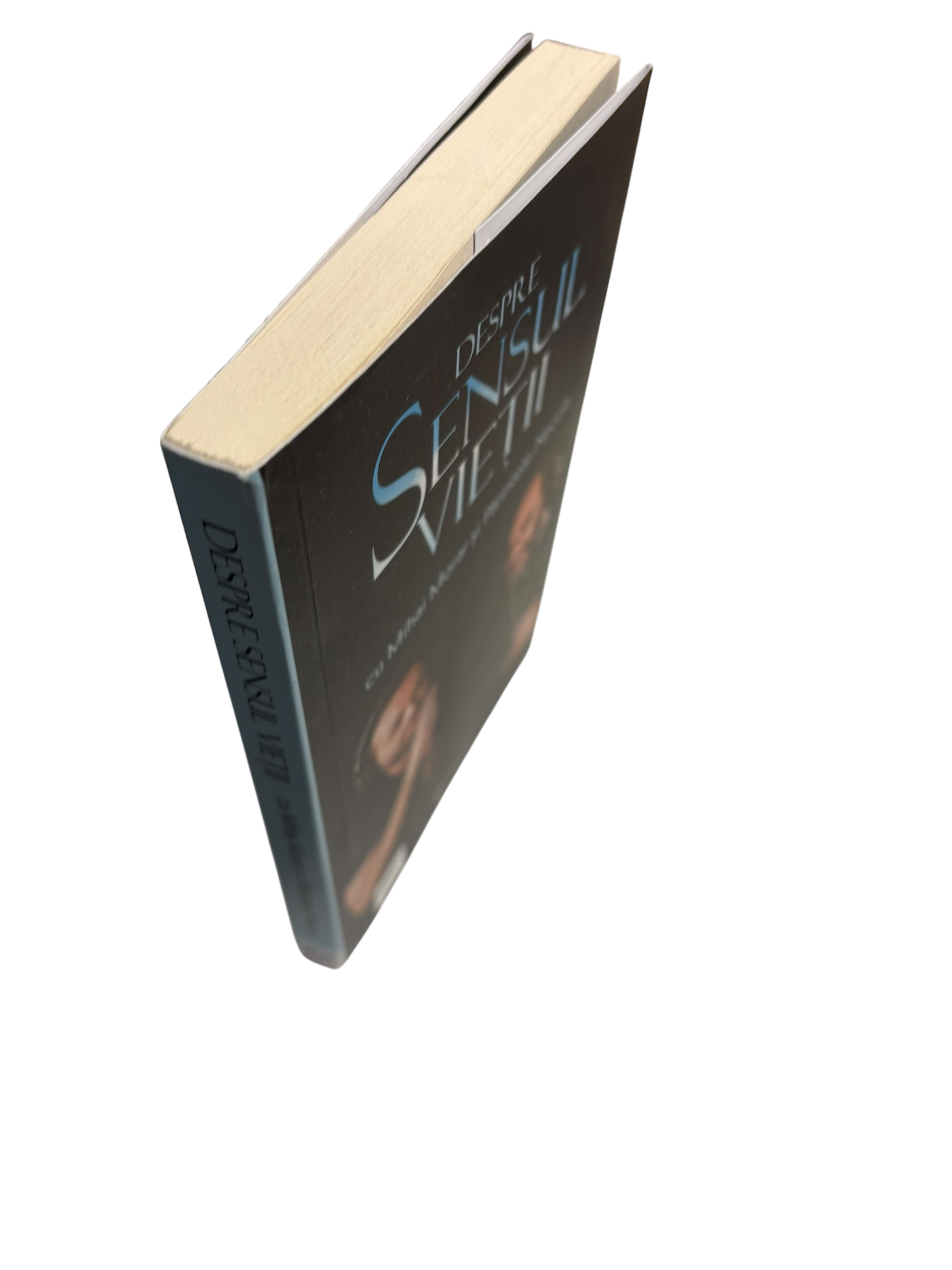 Despre sensul vietii - Mihai Morar, Parintele Necula