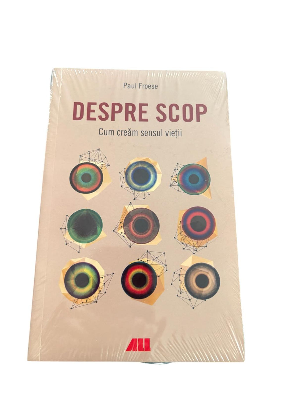 Despre scop - Cum cream sensul vietii - Paul Froese