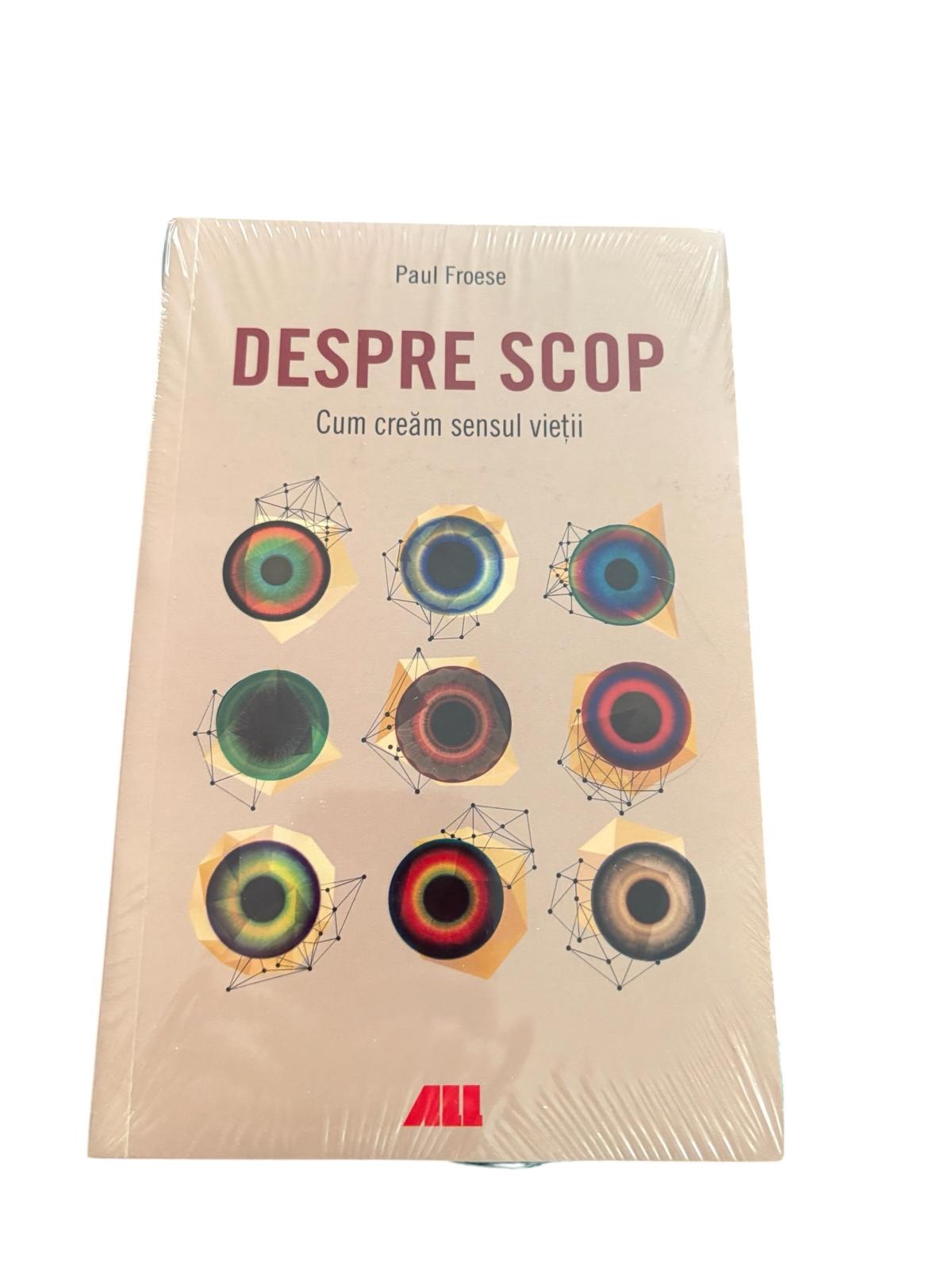 Despre scop - Cum cream sensul vietii - Paul Froese