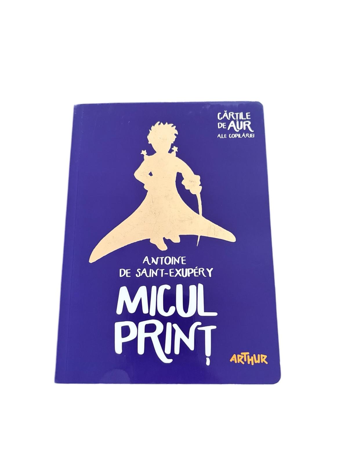 Micul print - Antoine De Saint-Exupery